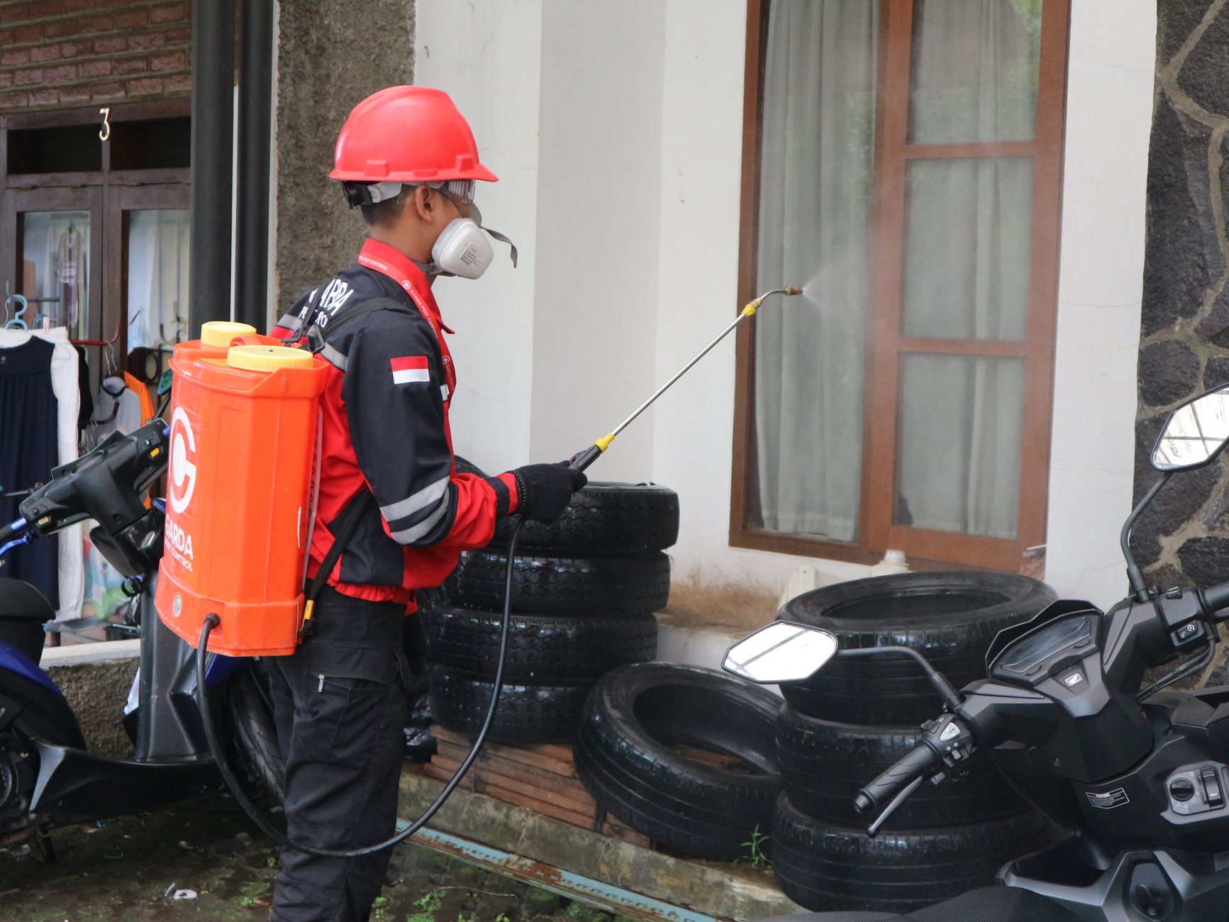 Avantajele serviciilor de dezinfectie, dezinsectie si deratizare in scoli si gradinite