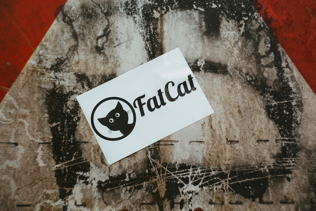 fato sau fat-o – Cum se scrie corect