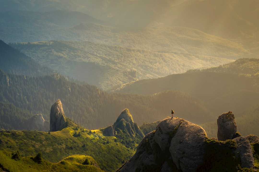 Photo dream interpretation