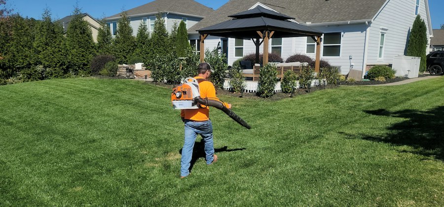 lawn maintenance