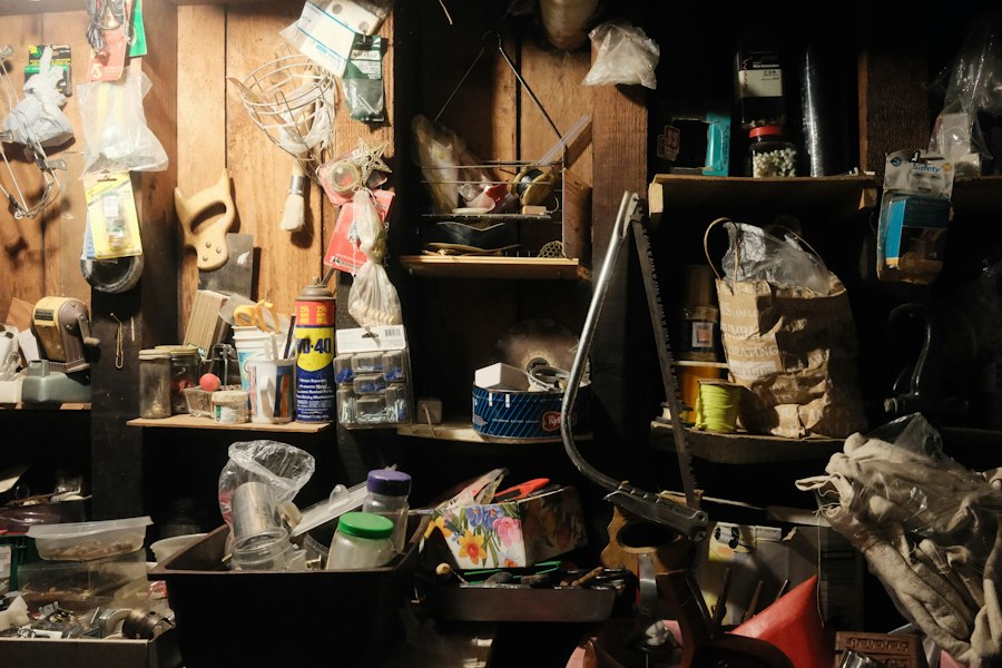 Photo organize garage