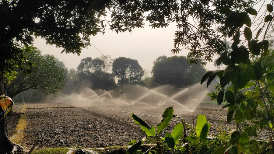 Photo irrigation systems