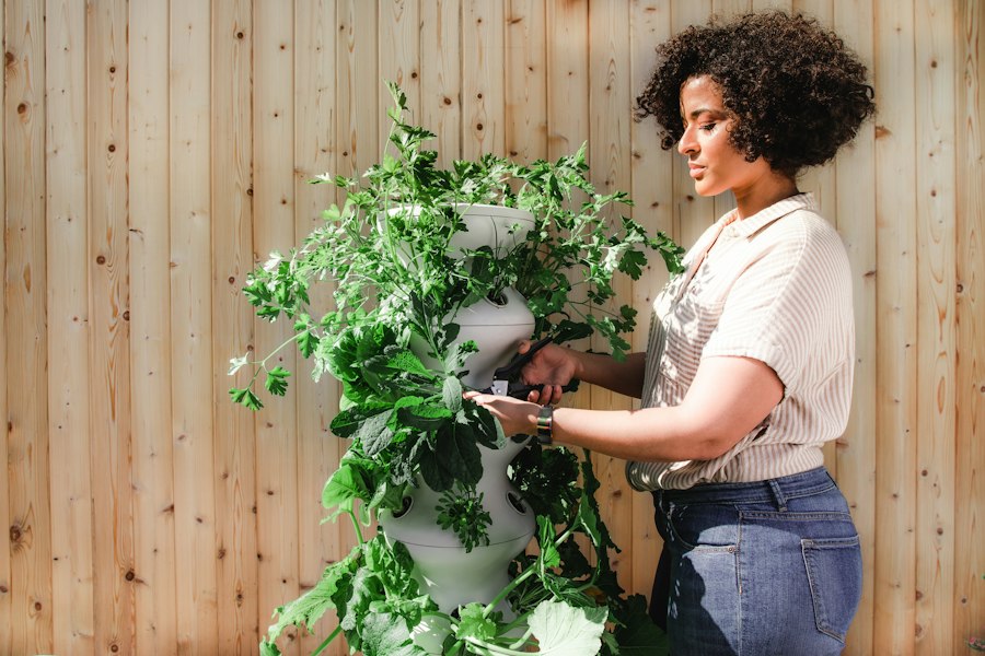 Photo gardening