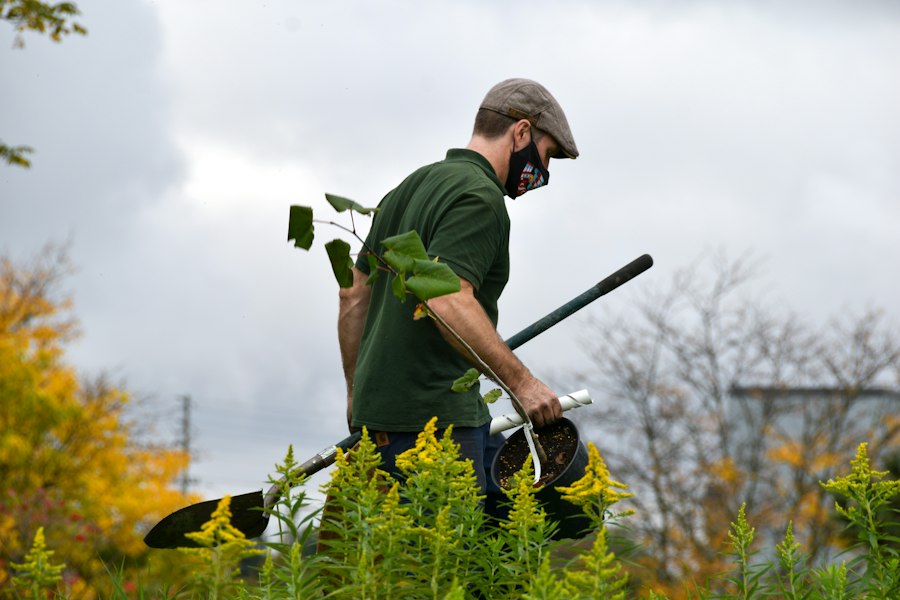 gardening